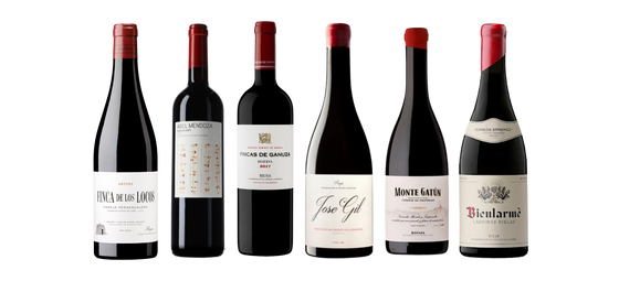 Best of Rioja Mixed Case (6-bottles/case) - $399