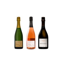  CHAMPAGNE MIX N MATCH - CASE 1:  3 x 2 bottles each ($499 case price)